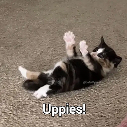 UPPIES