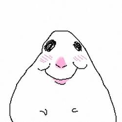 HAMSTER