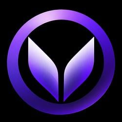 VeilPay