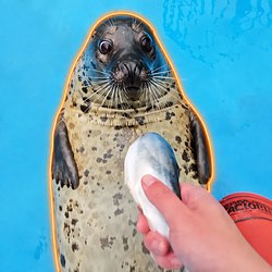 BRUSHSEAL