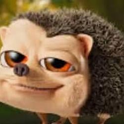 UZBGZ