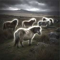 PONIES