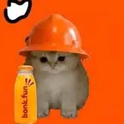 BONKCAT
