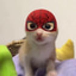 小年