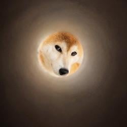 もも
