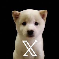 𝕏Dog