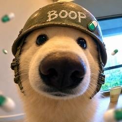 boop
