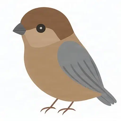 Sparrow