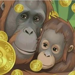ORANGUTAN