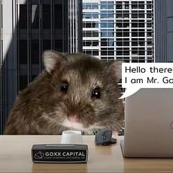 mrgoxx