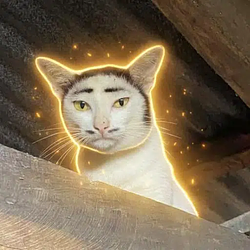 Pao