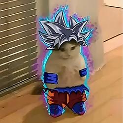 GOKU