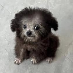 deg