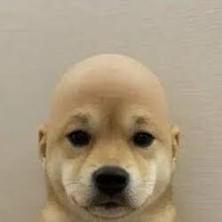 AIU