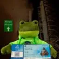 RocketFrog