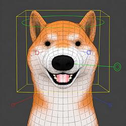 CGI