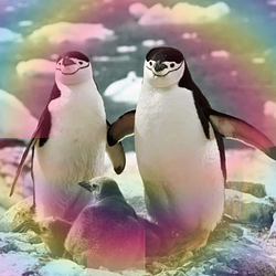 GAY / SOL