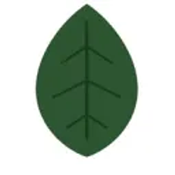 hornbeam