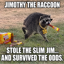 Slim Jim / SOL