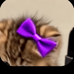 PurpBow