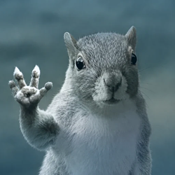 SQUIRREL