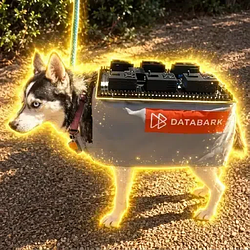 Data center paws