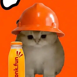 bonkcat