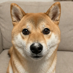 INT