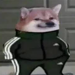 SI