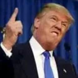 TRUMP / SOL