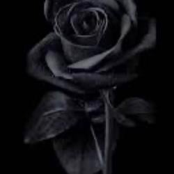 Deadrose