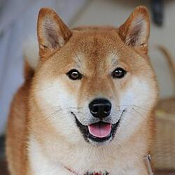 BOOo