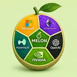 MELON / SOL