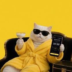CASHCAT / BNB