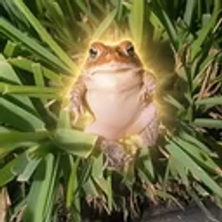 TOAD