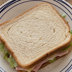SANDWICH