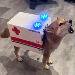 BULANCE