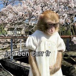 Moneyke
