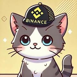binancecat