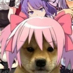 wifu / SOL