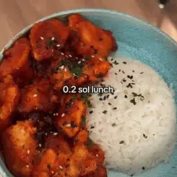 0.2Sol