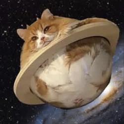 DOGE