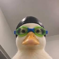 Nasduck / SOL