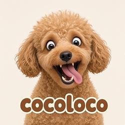 COCOLOCO