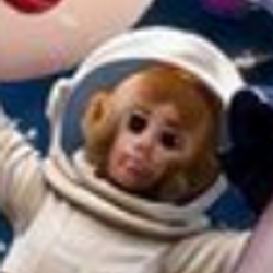 moonkey