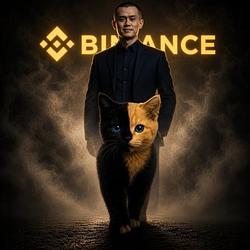 CzCat