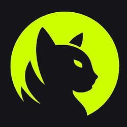 HOLD / NVDA