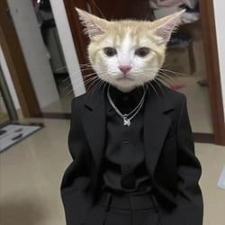 CatBoy