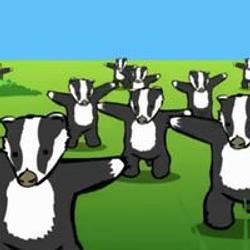 BADGERS