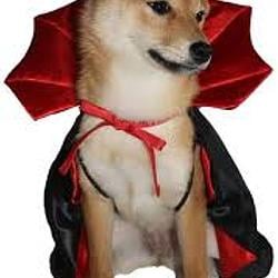 VampVamp
